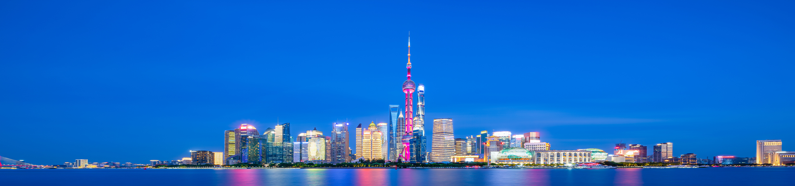 上海自然人综合库主题库集